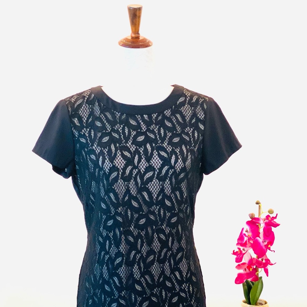 🌹White House Black Market Short-sleeve Lace & Solid Mix Dress, Size 8, Black